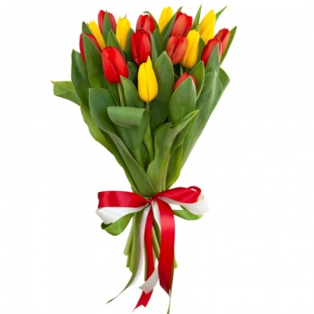 Букет из 17 красных и желтых тюльпанов