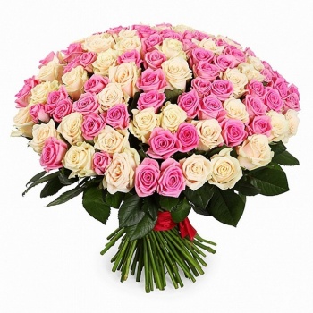 Букет из 151 белой и розовой розы