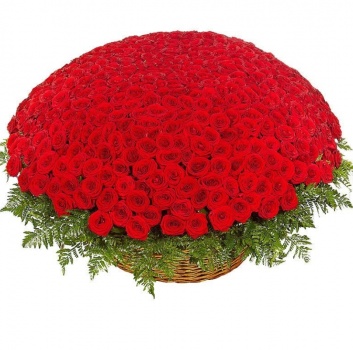 Корзина из 501 красной розы с зеленью