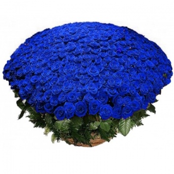 Корзина из 501 синей розы