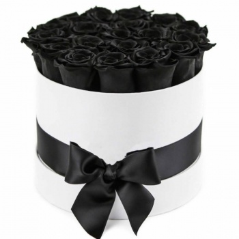 Букет из 25 черных роз в коробке