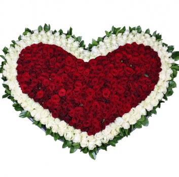 Сердце из 251 красной и белой розы