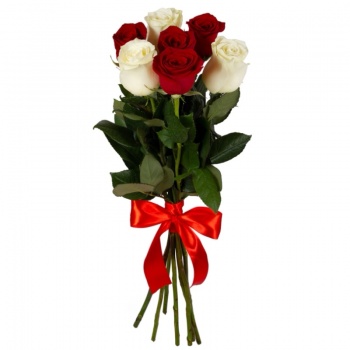 Букет из 7 красных и белых роз