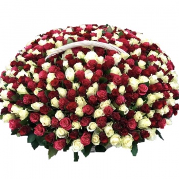 Корзина MIX из 501 красной и белой розы