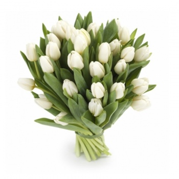 Букет из 29 белых тюльпанов