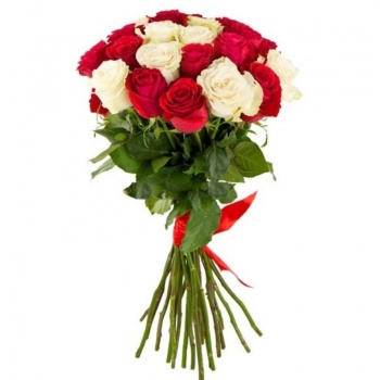 Букет из 19 красных и белых роз