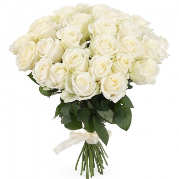 Букет из 35 белых роз