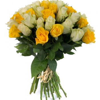 Букет из 55 желтых и белых роз