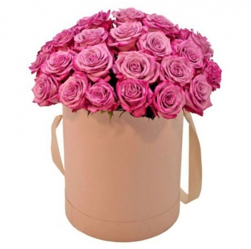 Букет из 31 розовой розы в коробке