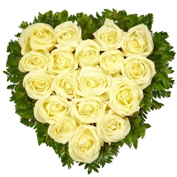 Сердце из 19 белых роз