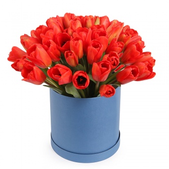 Тюльпаны в коробке "Красный принц"