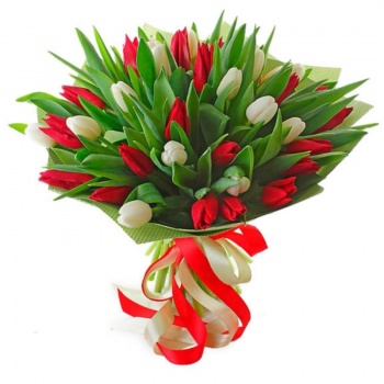 Букет из красных и белых тюльпанов "Весна"