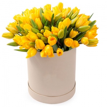 Букет из 75 желтых тюльпанов в коробке