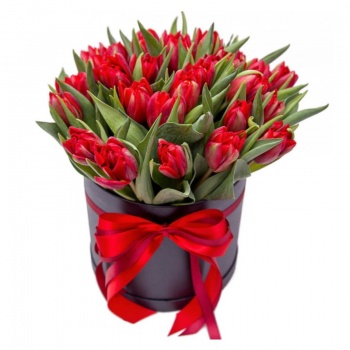 Букет из 29 красных тюльпанов в коробке