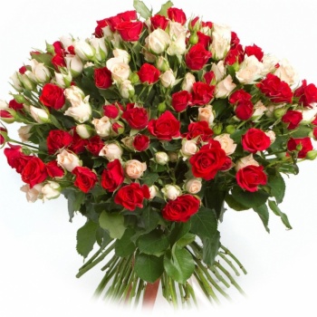 Букет MIX из 51 красной и белой розы