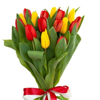 Букет из 17 красных и желтых тюльпанов