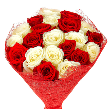 Букет из красной и белой розы "Амур"