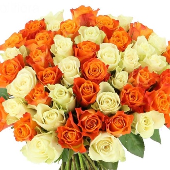 Букет из 51 оранжевой и белой розы