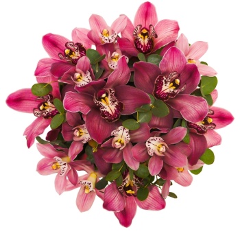 Букет из 17 розовых орхидей в коробке