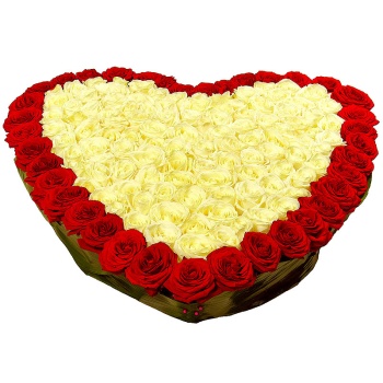 Сердце из 151 красной и белой розы