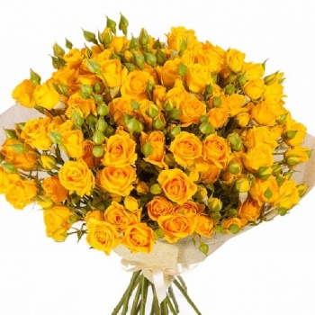 Букет из 17 желтых кустовых роз