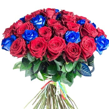 Букет из 35 синих и красных роз