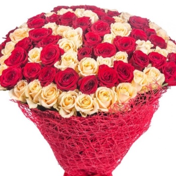 Букет из 101 красной и кремовой розы
