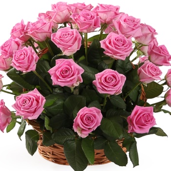 Корзина из 35 розовых роз