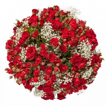 Букет из 51 кустовой розы с гипсофилой