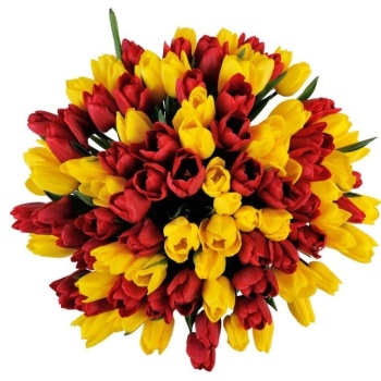 Букет MIX из 101 красного и желтого тюльпана