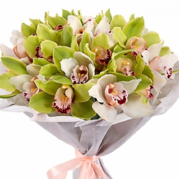 Букет из 25 орхидей "Малибу"