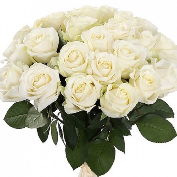 Букет из 31 белой розы