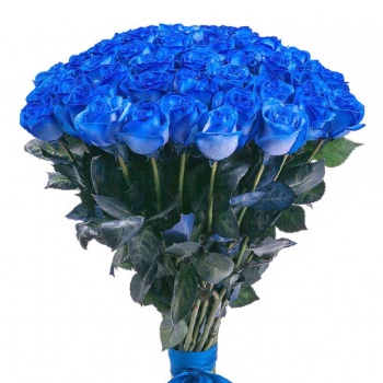 Букет из 45 синих роз