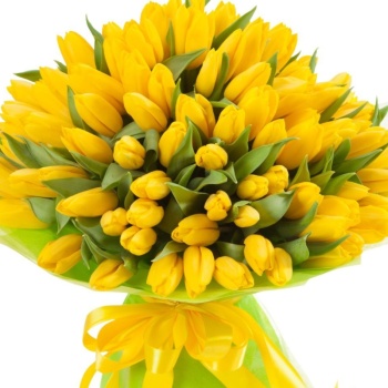 Букет из 101 желтого тюльпана "Желтый нектар"