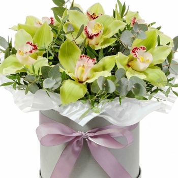 Букет из 11 орхидей с зеленью в коробке
