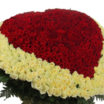 Сердце из 501 красной и белой розы в корзине