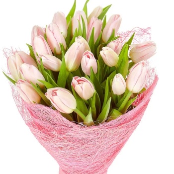Букет из 21 розового тюльпана "Для тебя"