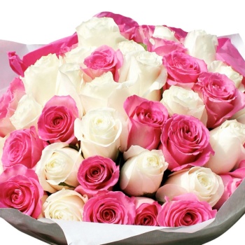 Букет из 55 розовых и белых роз