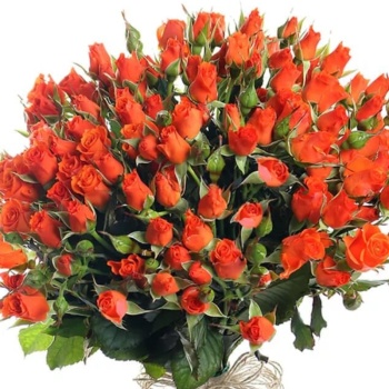 Букет из 31 кустовой оранжевой розы