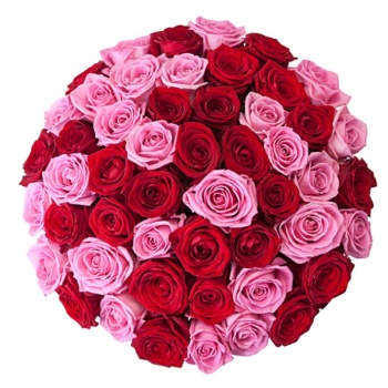 Букет из 51 розовой и красной роз