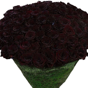 Букет траурный из 100 темно-бордовых роз