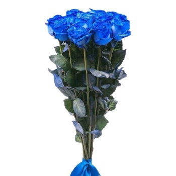 Букет из 11 синих роз