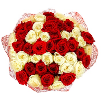 Букет из 55 красных и белых роз
