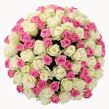 Букет из 151 белой и розовой розы