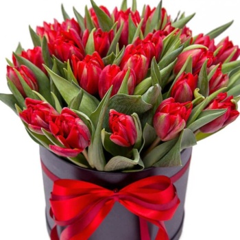 Букет из 29 красных тюльпанов в коробке