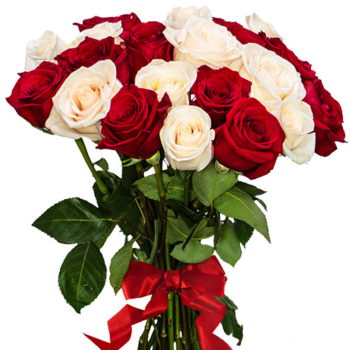 Букет из 21 красной и белой розы