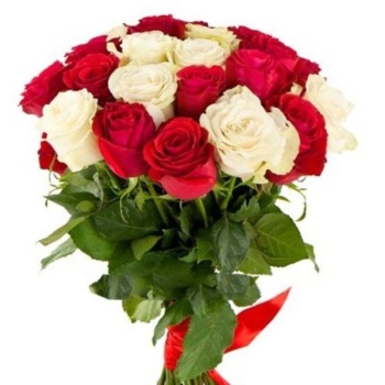 Букет из 19 красных и белых роз