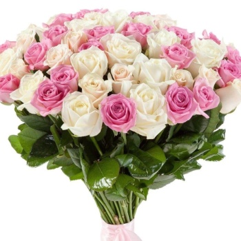 Букет из 55 белых и розовых роз
