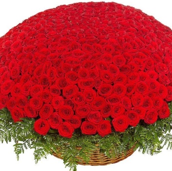 Корзина из 501 красной розы с зеленью